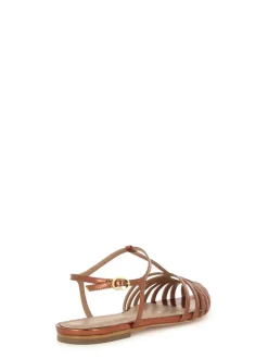 Cartechini Collection 779066 BRONZO Discount