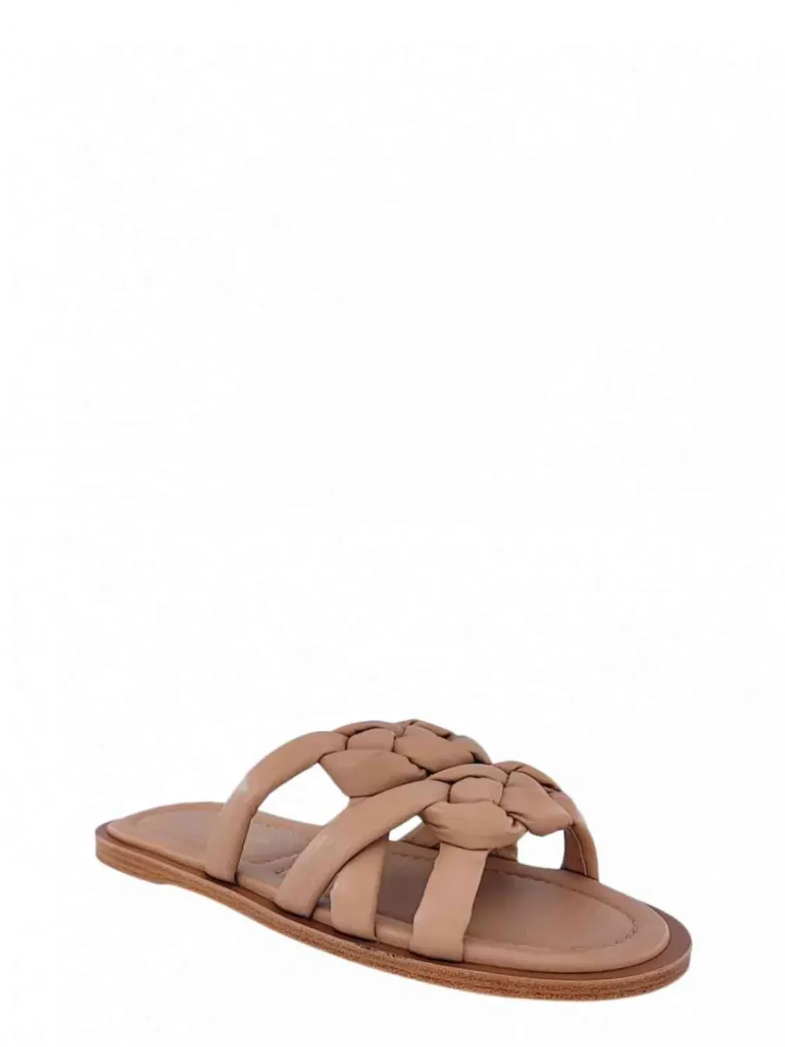 Cartechini Collection 949036 CIPRIA Online