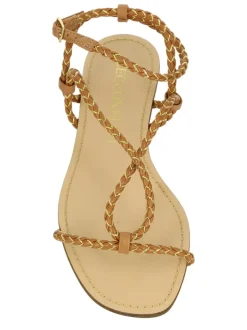Cecconello 2234011 COCONUT Outlet