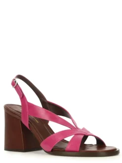 Cartechini Collection 1541016 FUCSIA