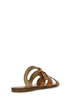 Cartechini Collection 2236-B-MU COCONUT Best