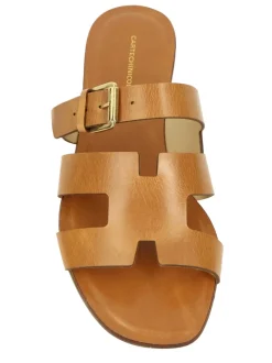 Cartechini Collection 2236-B-MU COCONUT Best