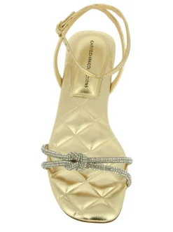 Cartechini Collection 2307-B-MU ORO New
